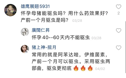 养猪致富秘籍图片_想致富养猪_致富经傻瓜养猪法