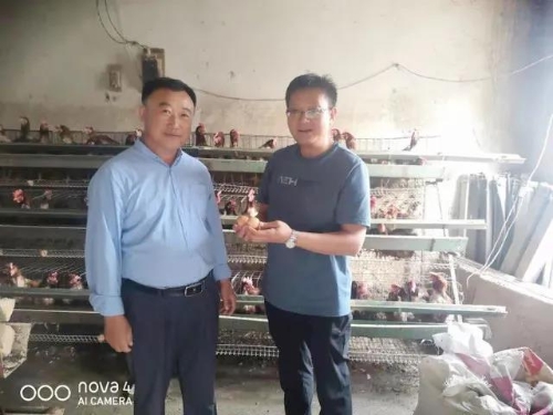 中蜂蜜养殖新技术_蜂蜜的养殖_蜂蜜的养殖技术视频