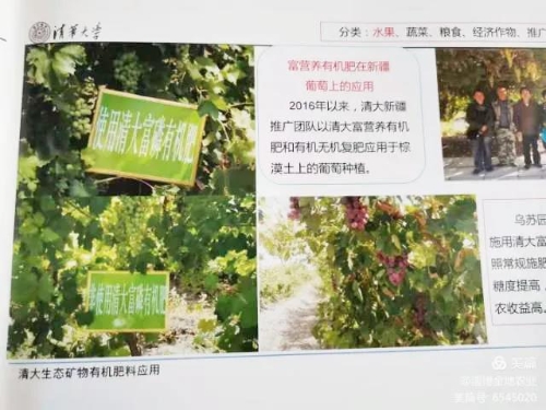 蜂蜜的养殖技术视频_中蜂蜜养殖新技术_蜂蜜的养殖