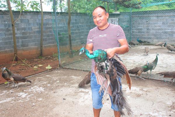 致富经农家乐视频_致富经农家乐_视频致富农家乐在线观看