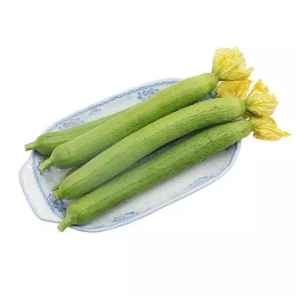 种丝瓜的季节和方法视频_夏季丝瓜种植技术_夏季种植丝瓜技术要点