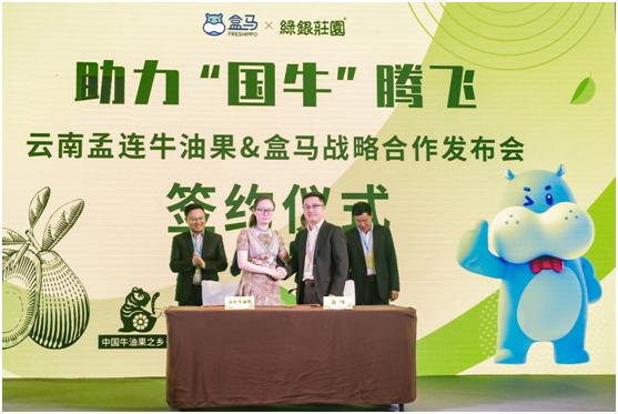 致富创业网搞种植水果_致富经果树种植视频_致富果怎么种植