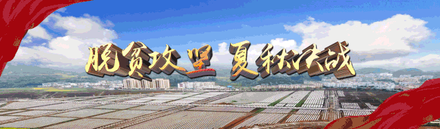 转载丨山盆千亩“稻+鱼”，美了乡村富了百姓
