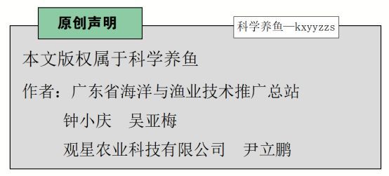 黄鳝养殖的密度是多少_高密度鳝鱼养殖_致富经室内高密度养殖黄鳝