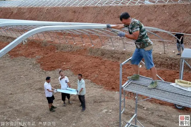 广西种植什么最赚钱_广西种植大户名单_广西种植致富名人