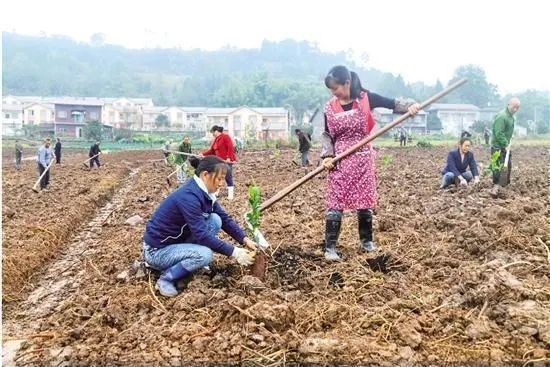 致富淡水养殖项目_致富经淡水养殖_淡水养殖什么赚钱