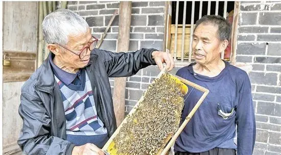 淡水养殖什么赚钱_致富淡水养殖项目_致富经淡水养殖