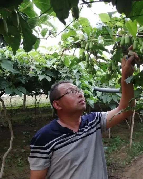 广西致富能人_广西种植什么最赚钱_广西种植致富名人