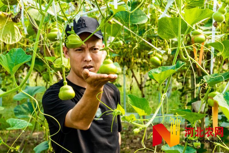 蚂蚁种植致富吗_养殖蚂蚁_蚂蚁种植收益