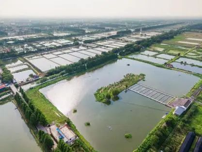 视频故事 |“千万工程”让“浙”里焕然一新！