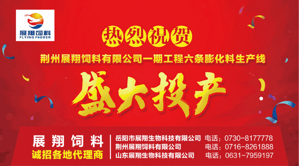 干货丨台湾泥鳅的常见疾病防控及常见问题处理