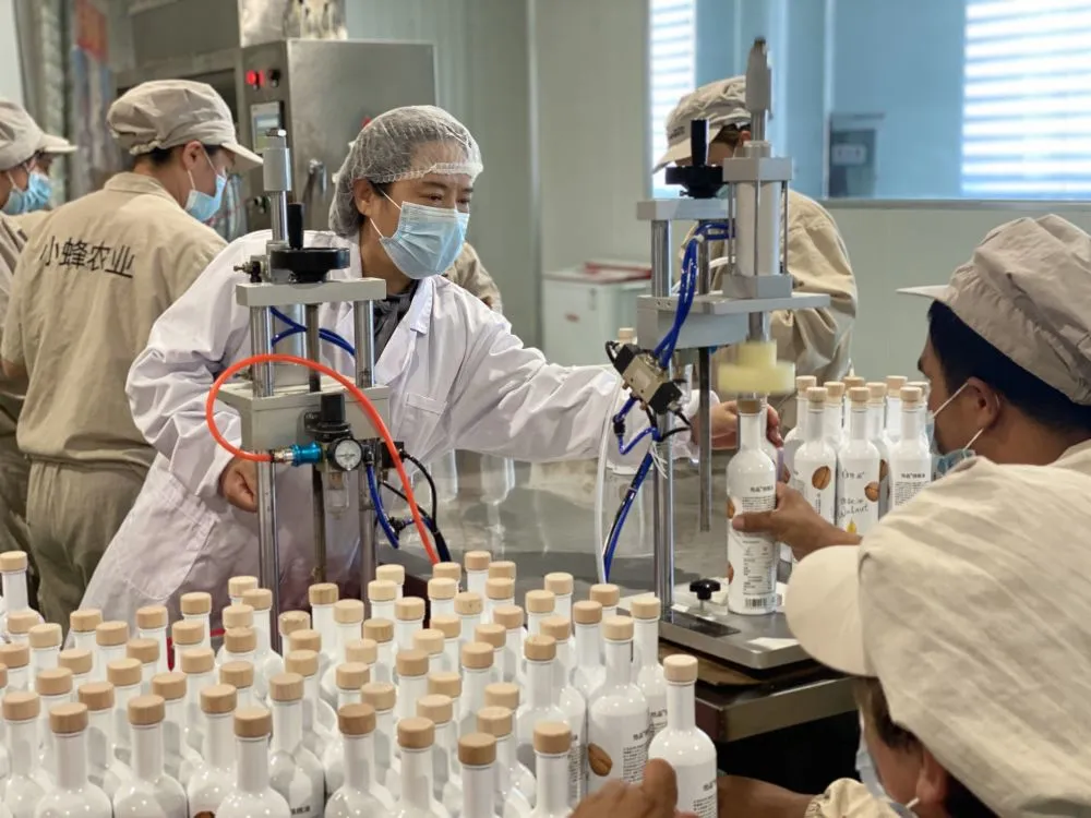 种冬枣赚钱吗_种植冬枣的利润_冬枣种植致富之路在哪里