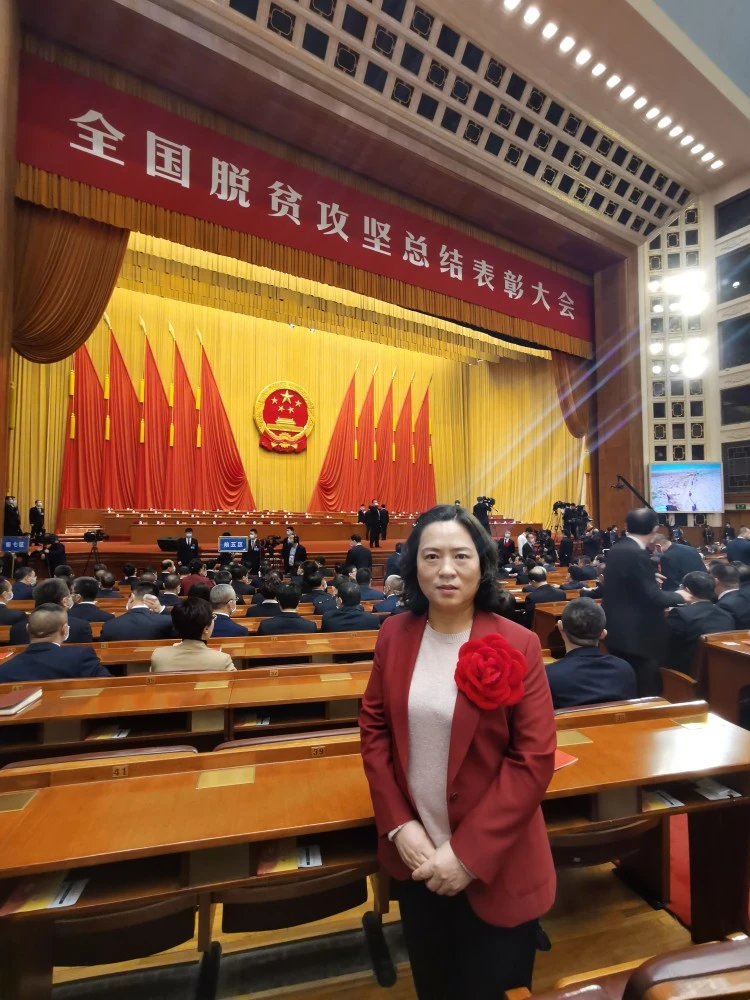 种冬枣赚钱吗_冬枣种植致富之路在哪里_种植冬枣的利润