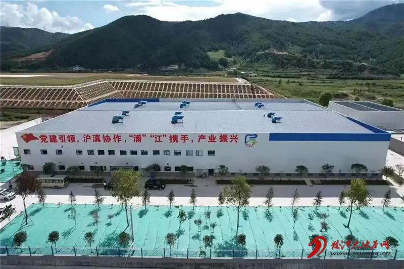 致富经果子越恶心_致富经果子越恶心_致富经果子越恶心