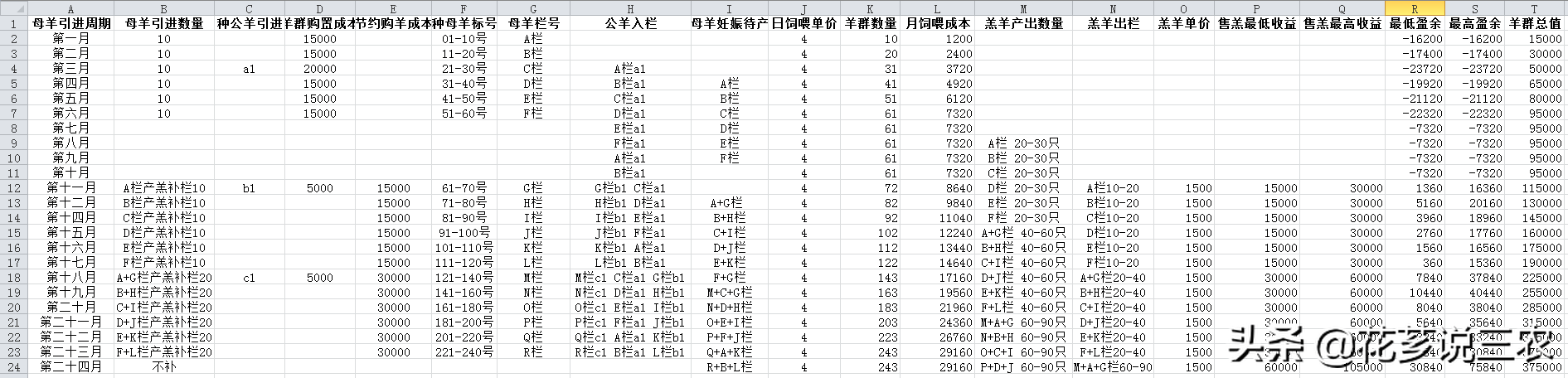 致富养殖羊项目简介_致富养殖羊项目有哪些_养殖致富项目羊