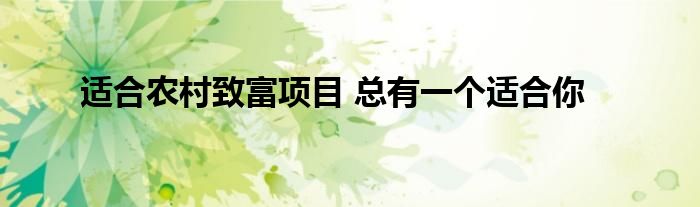 适合农村致富项目 总有一个适合你
