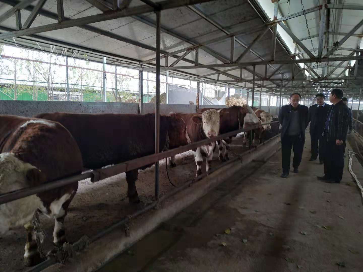 助力脱贫攻坚 让贫困户实现早日脱贫致富