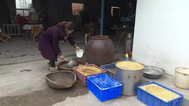 致富经养豪猪视频_致富经养豪猪_致富经豪猪养殖技术