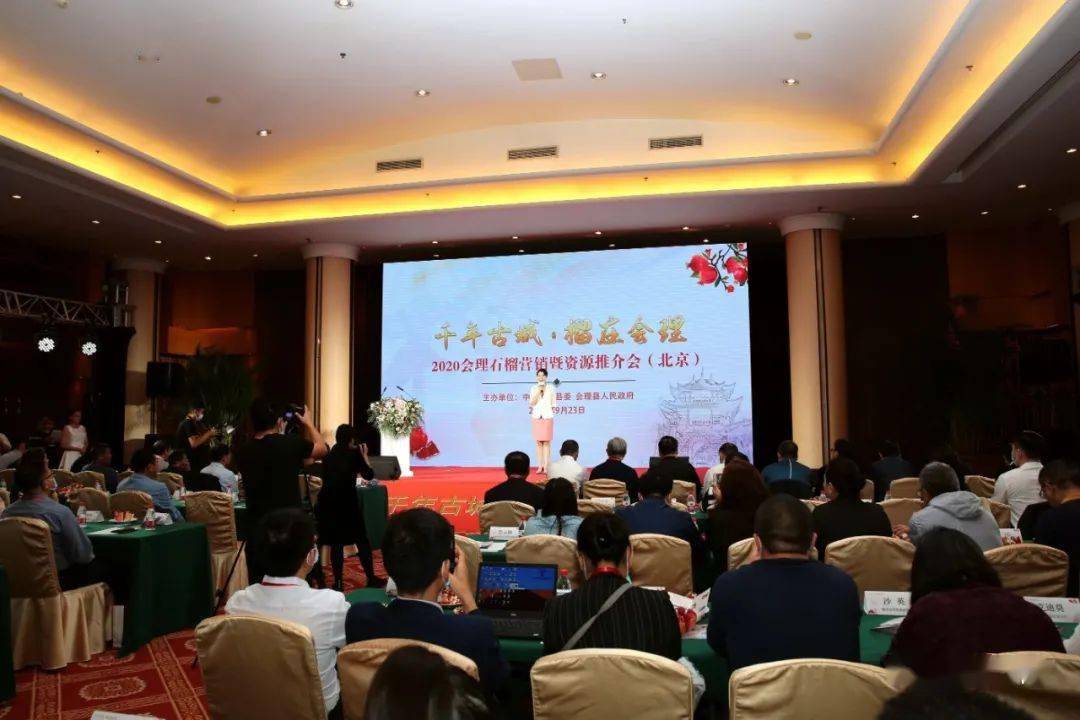 种植石榴的效益如何_石榴种植利润_会理石榴种植致富