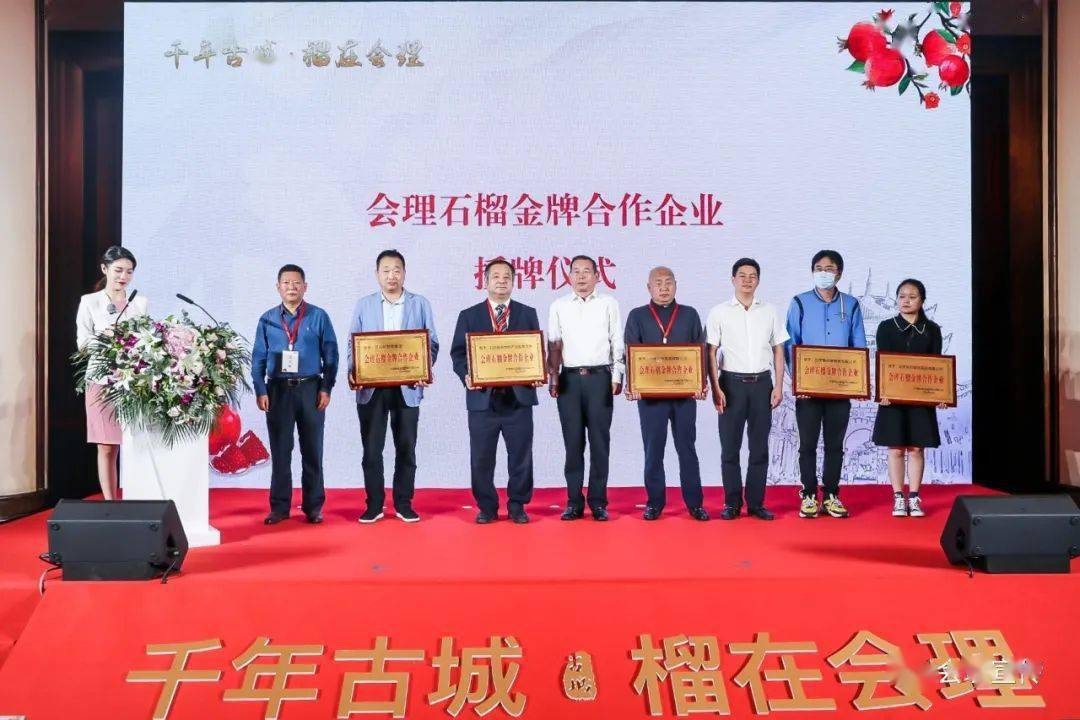 种植石榴的效益如何_石榴种植利润_会理石榴种植致富