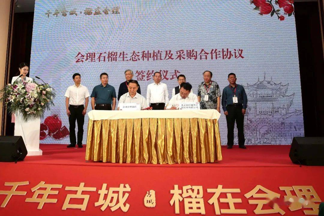 会理石榴种植致富_石榴种植利润_种植石榴的效益如何