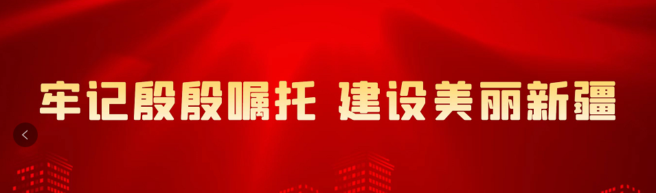生态鸡养殖技术致富经_致富养殖鸡生态技术有哪些_致富养殖鸡生态技术视频