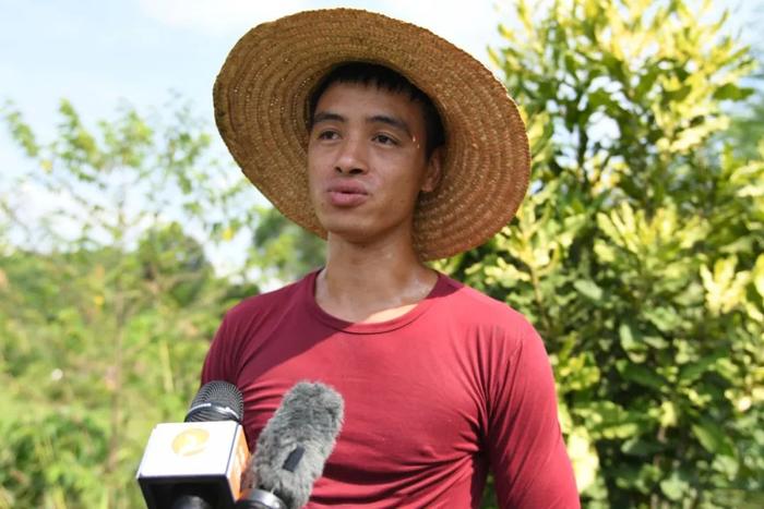荒山变金山，农民变“股民”！六审村村民种植坚果树致富！