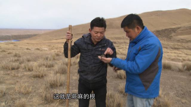 养殖虹鳟_致富经养虹鳟鱼视频_养殖虹鳟鱼利润怎么样