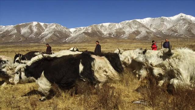 养殖虹鳟鱼利润怎么样_致富经养虹鳟鱼视频_养殖虹鳟