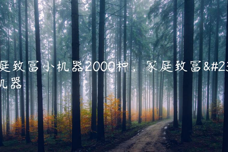 家庭致富小机器2000种，家庭致富小机器