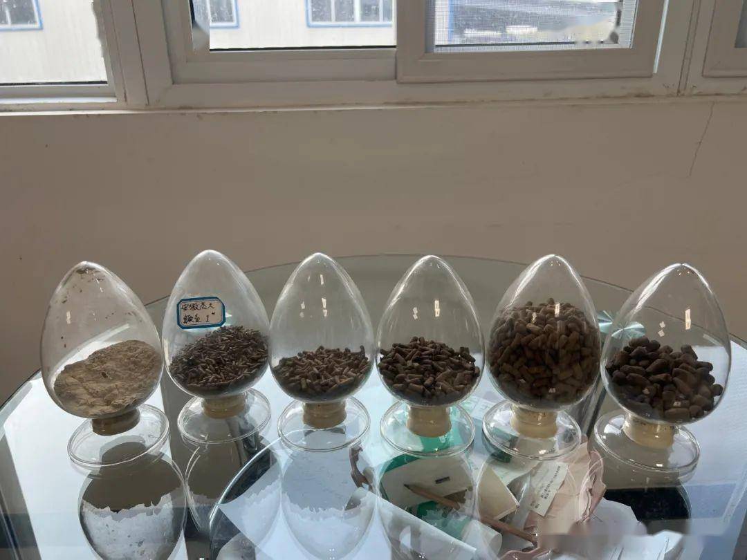 养殖人工鳜鱼技术视频教程_养殖人工鳜鱼技术视频_鳜鱼的人工养殖技术