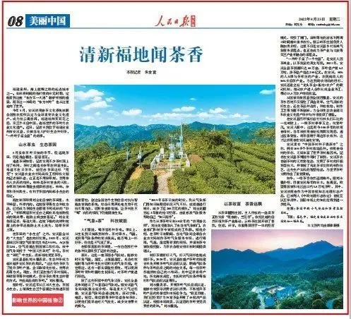 种植茶叶赚钱吗_茶叶致富经_种植茶叶致富项目