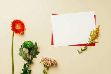 视频致富养殖麂子是真的吗_致富经麂子养殖视频_麂子养殖场视频