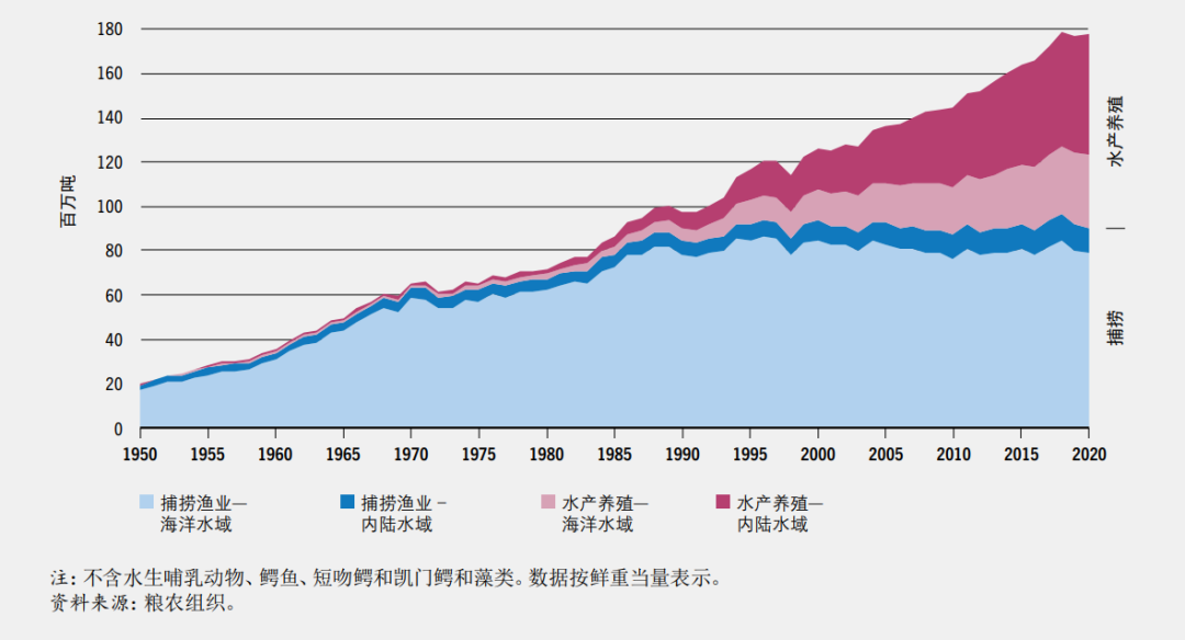 致富经石蛙养殖技术_石蛙养殖前景如何_石蛙养殖技术大全