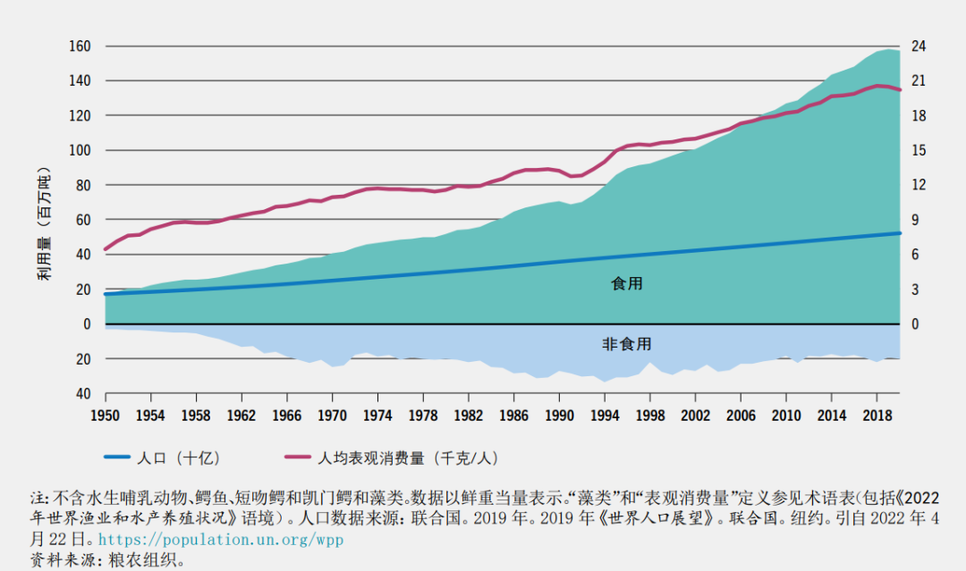 石蛙养殖前景如何_致富经石蛙养殖技术_石蛙养殖技术大全