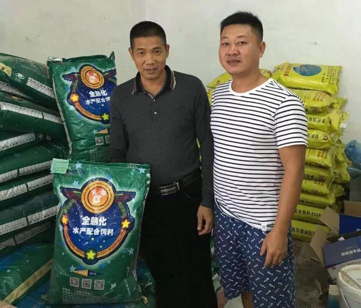 青蟹苗养殖技术_青蟹苗图片_青蟹幼苗期该怎么养殖