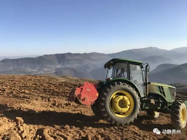 致富经奶牛_致富经 牛仔_怎样致富致富