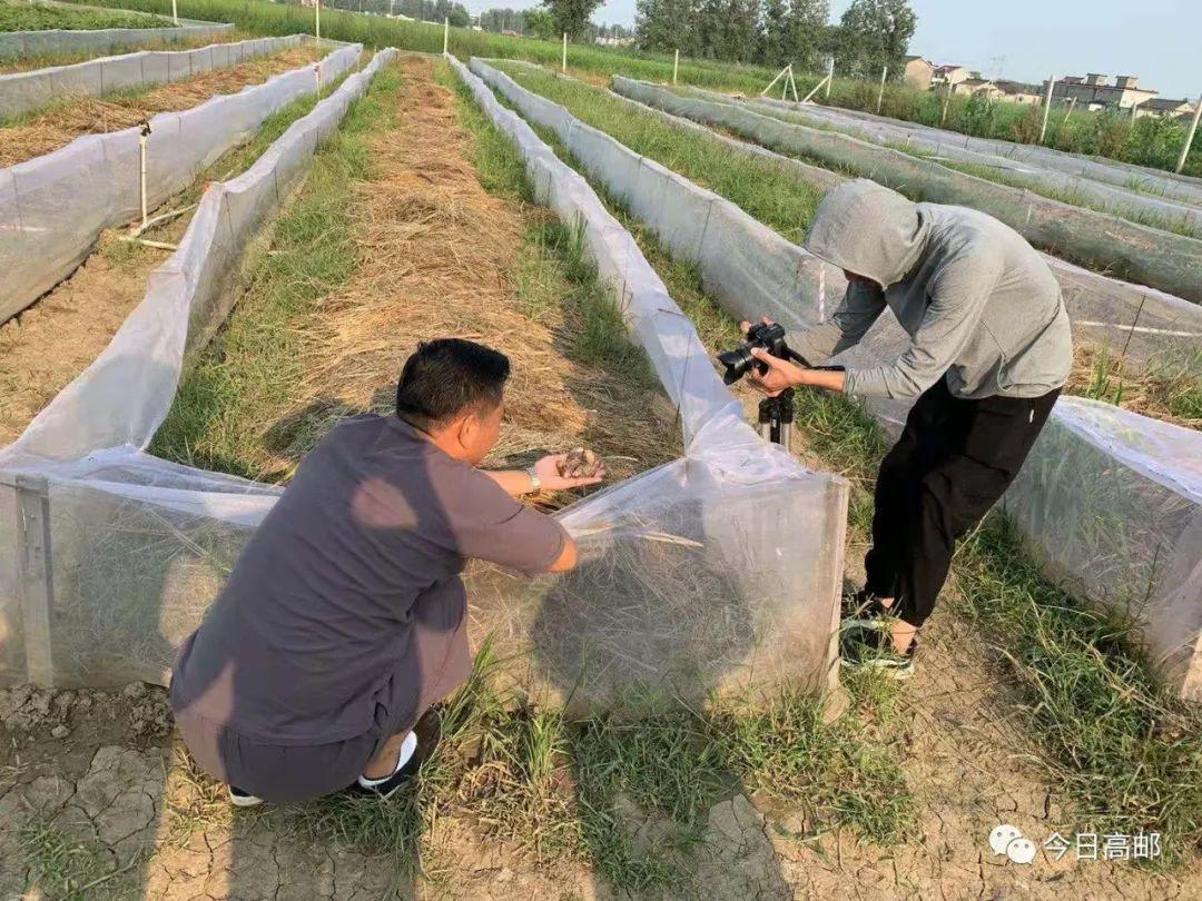 CCTV7致富经白玉蜗牛养殖_致富经白玉蜗牛年赚48万_致富蜗牛白玉养殖cctv7