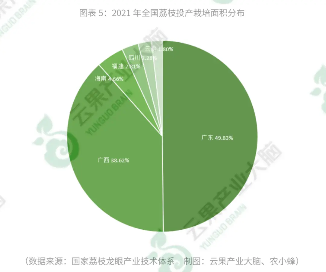 广西种植荔枝的优势_致富广西种植荔枝视频_广西种植荔枝致富