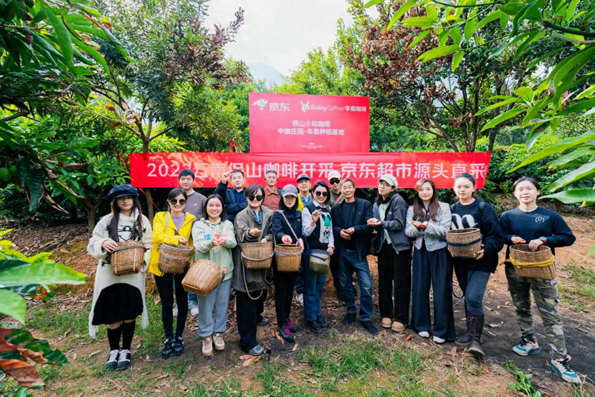 云南保山咖啡新产季开采：预计年产约2.2万吨 品质提升 价格更亲民
