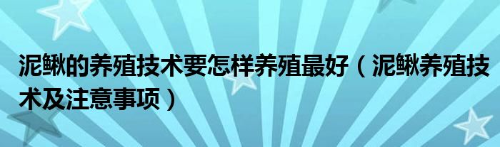 泥鳅的养殖技术要怎样养殖最好（泥鳅养殖技术及注意事项）