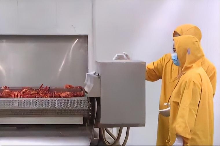 致富经澳洲淡水龙虾养殖视频_澳洲淡水龙虾致富经_致富经澳洲淡水小龙虾