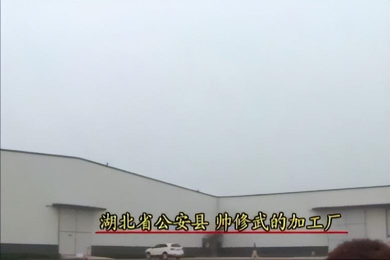 致富经澳洲淡水龙虾养殖视频_澳洲淡水龙虾致富经_致富经澳洲淡水小龙虾