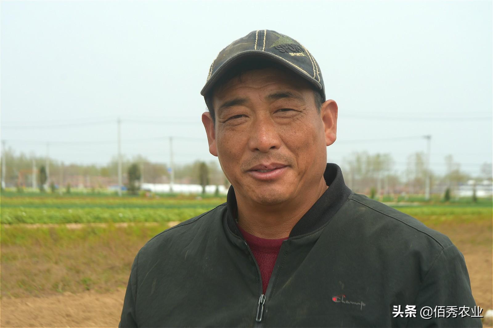 种植首乌技术要求_种植首乌技术有哪些_首乌种植技术