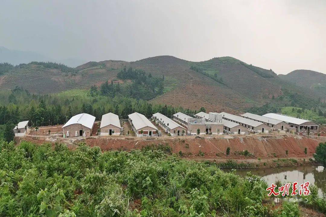 阳曲县养猪场_山西养猪大县有哪个县_致富经山西阳曲县生态养猪