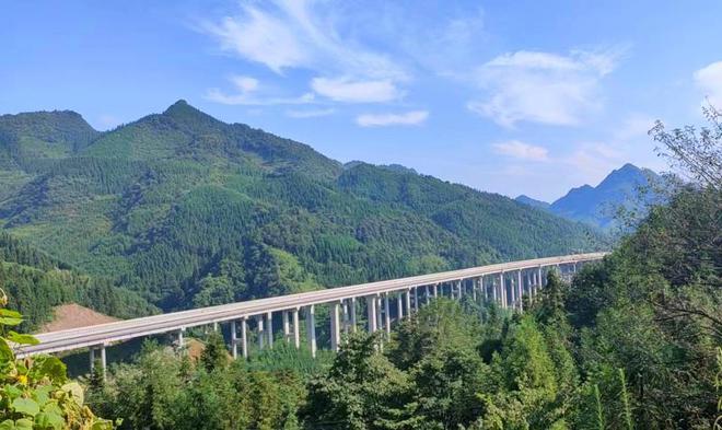 致富经山上养乌鸡_乌鸡养殖视频致富经_乌鸡养殖基地