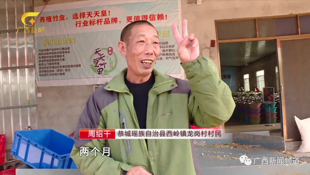 竹鼠养殖成本与风险_养殖竹鼠技术_竹鼠养殖技术教学视频