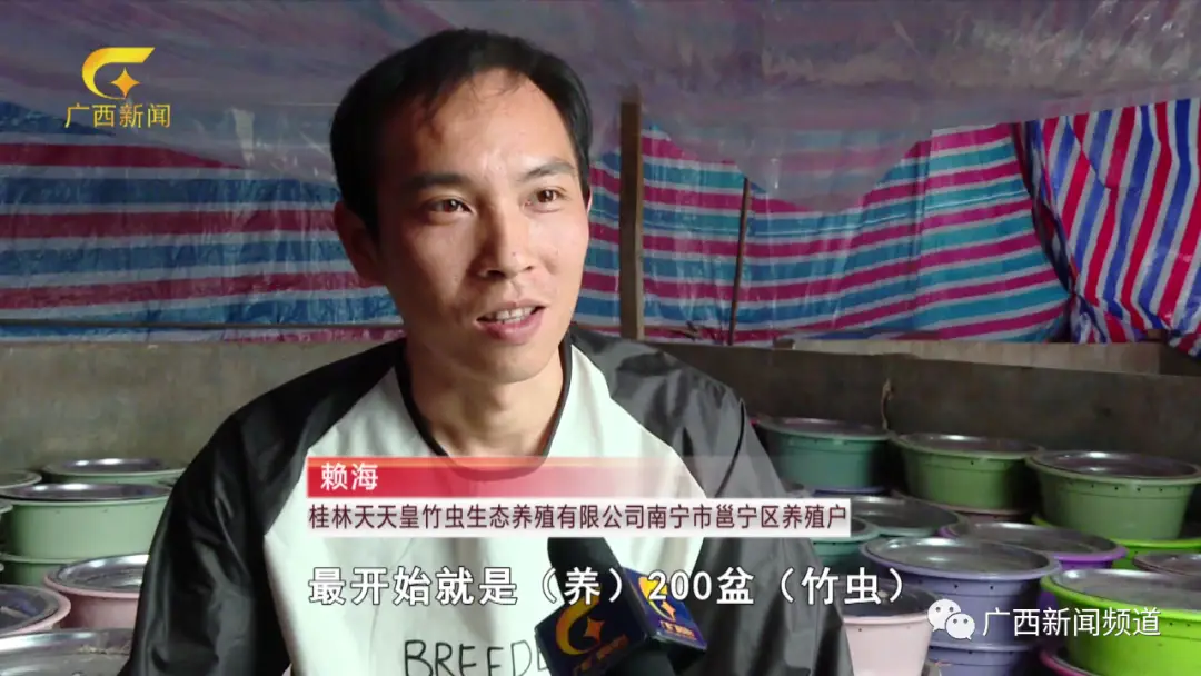 竹鼠养殖成本与风险_竹鼠养殖技术教学视频_养殖竹鼠技术