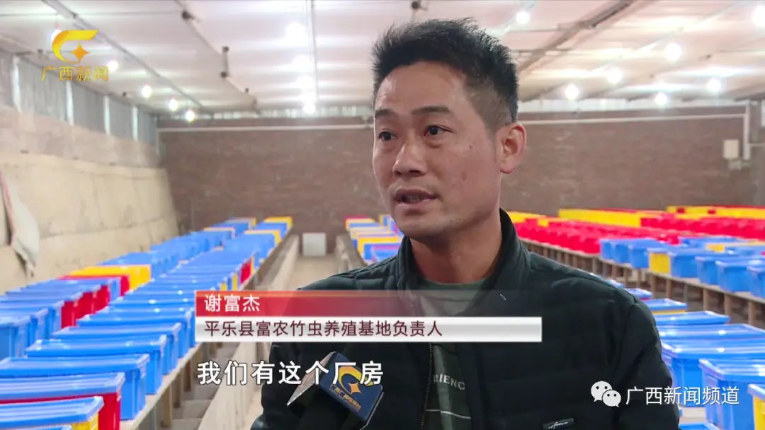 养殖竹鼠技术_竹鼠养殖技术教学视频_竹鼠养殖成本与风险