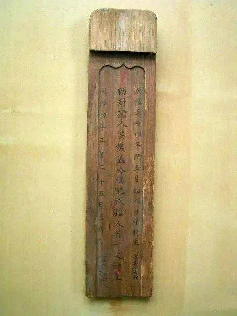 朱正伟养黑鱼_致富经朱正伟_朱正伟简介
